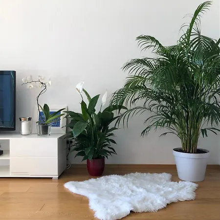 Apartman Charming *