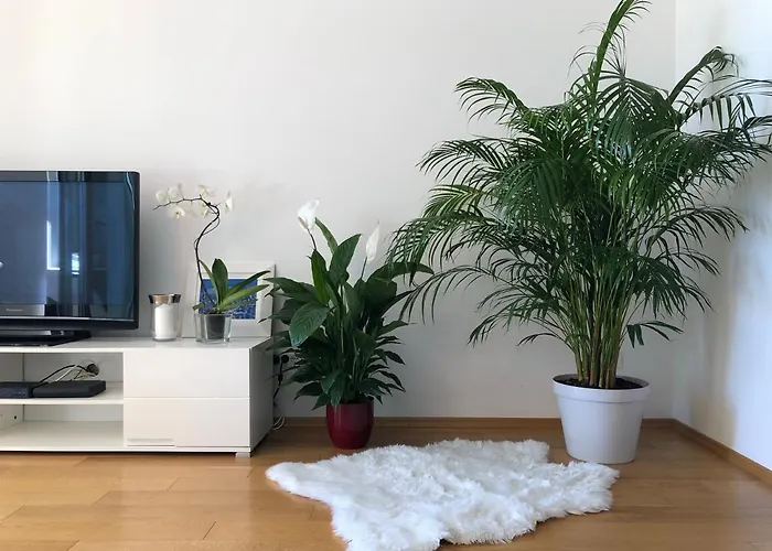 Apartament Charming *